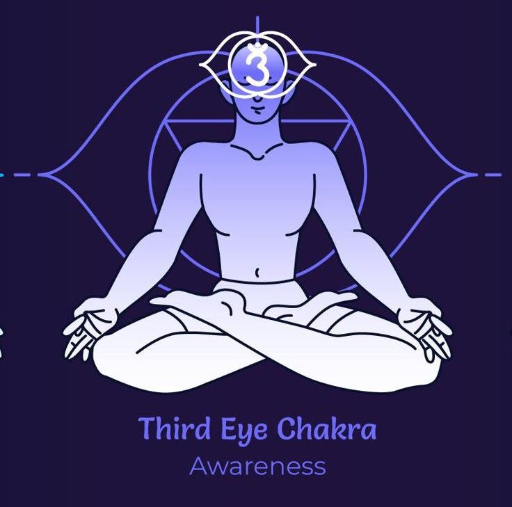 Third Eye Chakra between eyebrows, shining with indigo light.