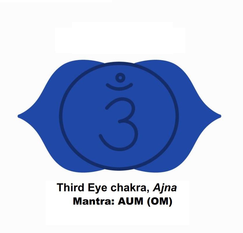 Third Eye Chakra indigo lotus with 'OM' mantra between two petals.