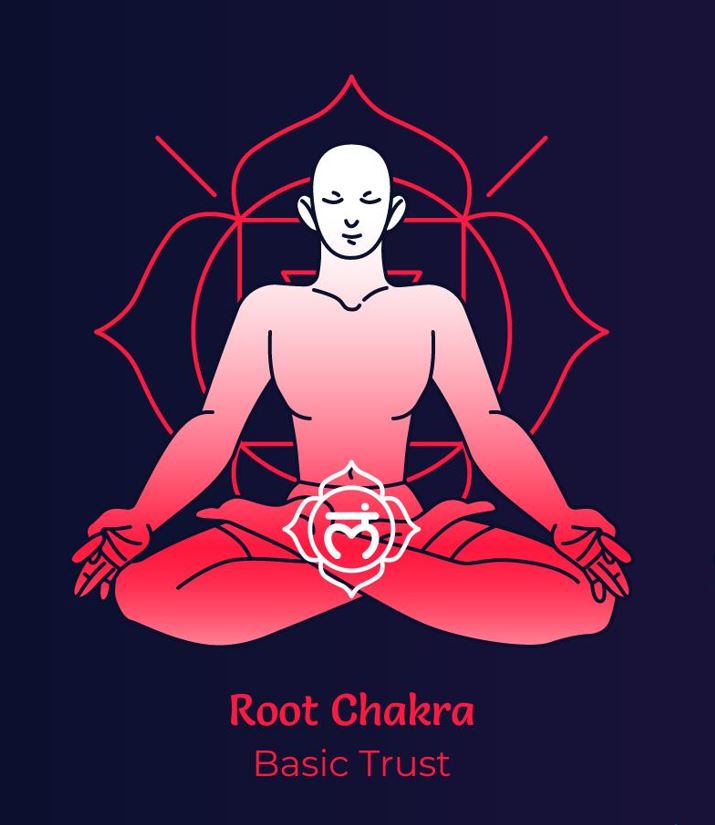 Location of Root Chakra at the base of the spine, shown with a red glow.